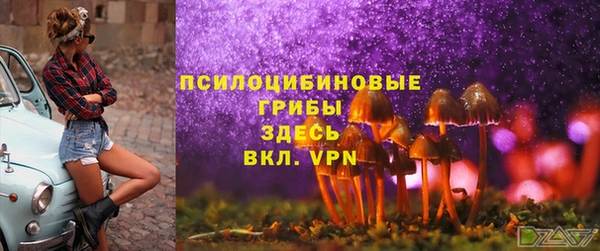 a pvp Беломорск