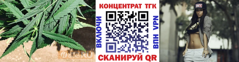 ТГК концентрат  Купить закладки  Мурманск 