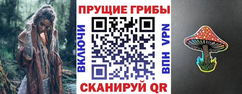Купить где  Мурманск  Галлюциногенные грибы мицелий 